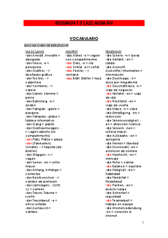 RESUMEN-T.5-A2-aleman.pdf