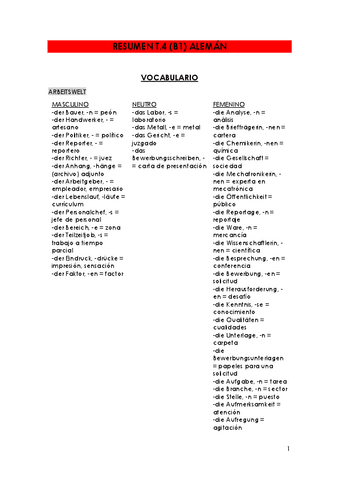 RESUMEN-T.4-B1-aleman.pdf