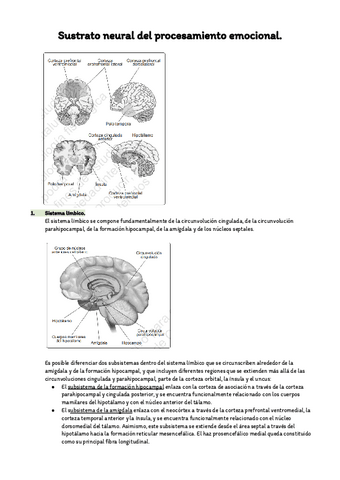 Tema-21-Sustrato-neural-del-procesamiento-emocional.pdf
