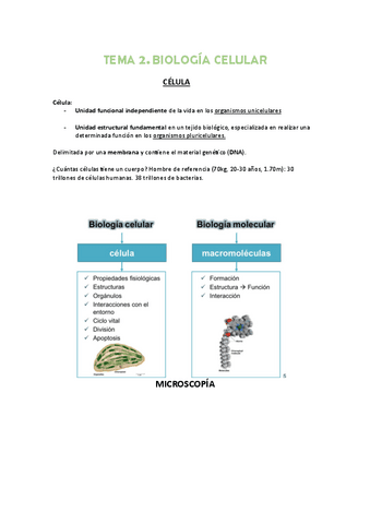 Tema-2.pdf