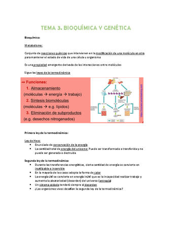 Tema-3.pdf