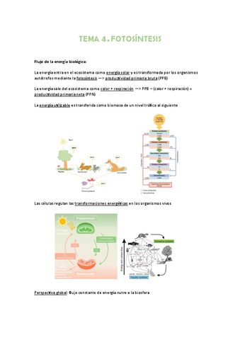 Tema-4.pdf