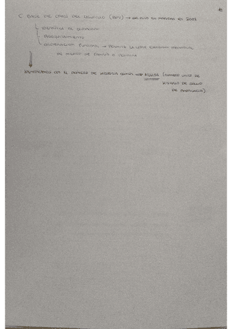 10.pdf
