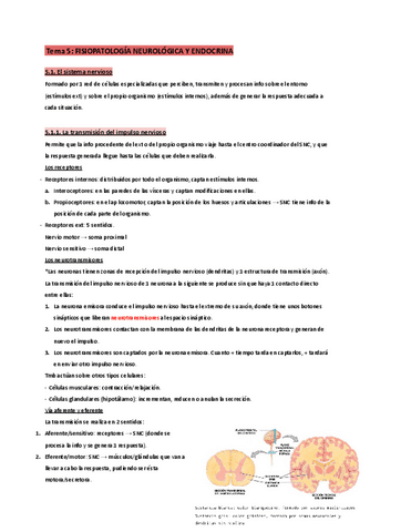 T.5-Fisiopatología.pdf