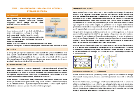 MICRO-RESUM-TOT.pdf