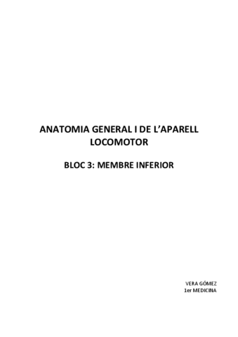 Anatomia-Membre-Inferior.pdf
