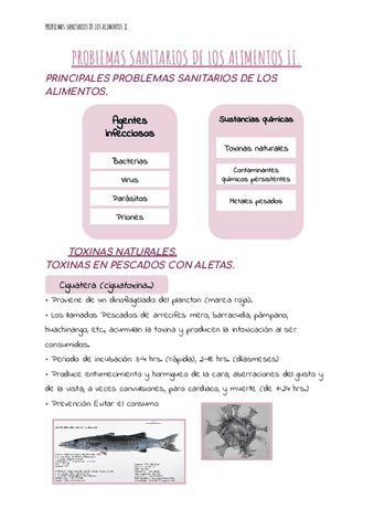16.PROBLEMAS-SANITARIOS-DE-LOS-ALIMENTOS-II.pdf