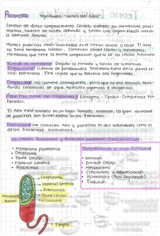 BIOLOGIA-celularymole-2023-2.pdf