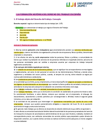 Derecho-Trabajo-T1.pdf