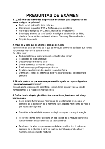 PREGUNTAS-DE-EXAMEN.pdf