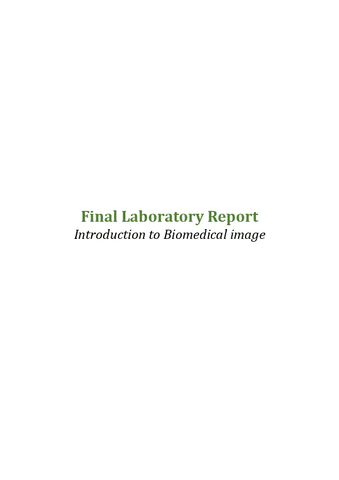 Lab-Report-COMPLETO.pdf