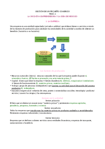 Iniciativa-emprendedora-y-ides-de-negocio.pdf