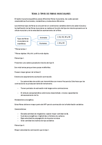 TEMA-2.pdf