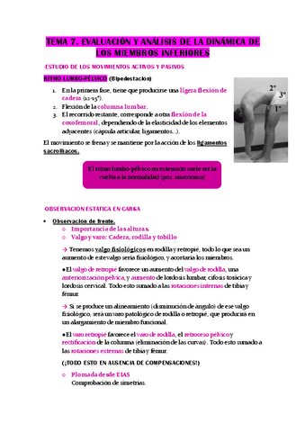 TEMA-7.-EVALUACION-Y-ANALISIS-DE-LA-DINAMICA-DE-LOS-MMII.pdf