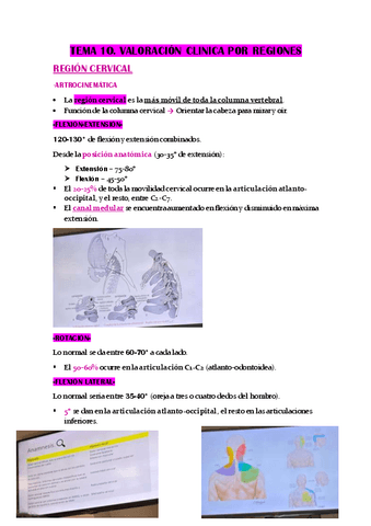 TEMA-10.-VALORACION-CLINICA-POR-REGIONES.pdf