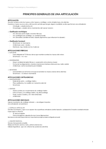 1.-PRINCIPIOS-GENERALES-DE-UNA-ARTICULACION.pdf