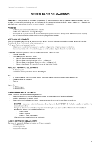 2.-GENERALIDADES-DE-LIGAMENTOS.pdf