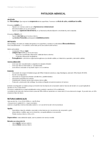 5.-PATOLOGIA-MENISCAL.pdf