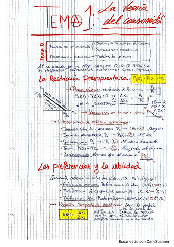 TEMARIO-MICRO.pdf