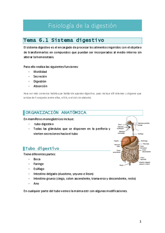 FisioTema6digestion.pdf