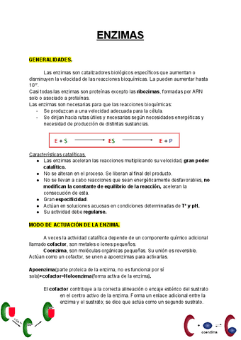 ENZIMAS.pdf