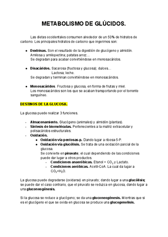 METABOLISMO-DE-GLUCIDOS.pdf