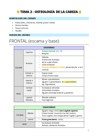 2-Huesos-del-craneo.pdf