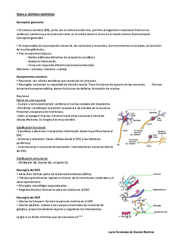 Tema-4-anato-I-LuciaF.pdf