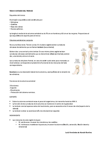 Tema-5-Anato-I-LuciaF.pdf