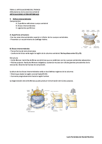 Tema-6-anato-I-LuciaF.pdf