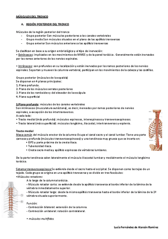 tema-7-anato-I-LuciaF.pdf