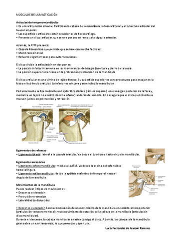 tema-9-anato-I-LuciaF.pdf