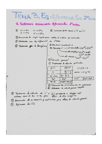 Apuntes-examen-Tema-3.pdf