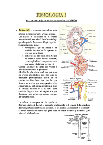 T1-Fisiologia.pdf