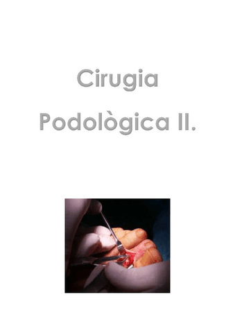 Apuntes-Ciru-II.pdf