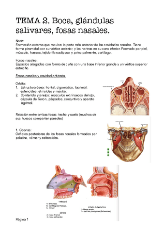 Tema-2.-Bloque-3.pdf