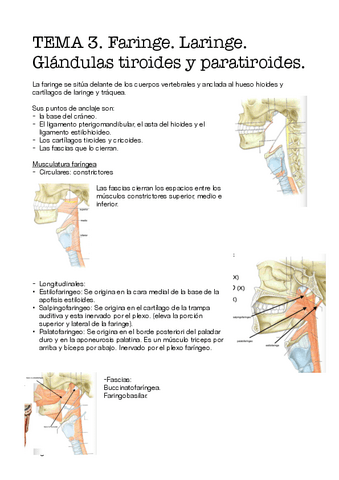 Tema-3.-Bloque-3.pdf