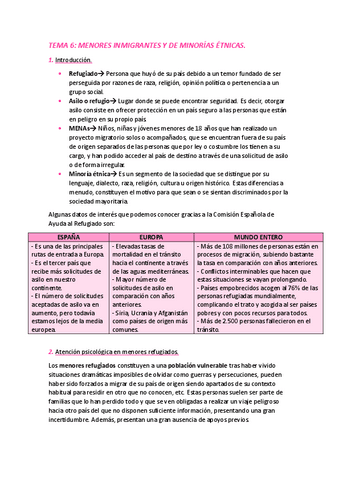 TEMA-6-Menores-inmigrantes-y-de-minorias-etnicas.pdf