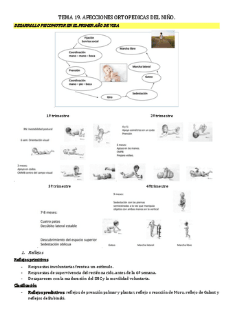 tema-19.-afecciones-ortopedicas-nino.pdf