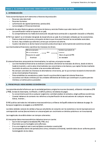 Apuntes-La-Empresa-Financiera-y-de-Seguros.pdf