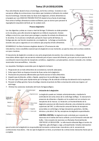 Tema 19 LA DEGLUCION.pdf