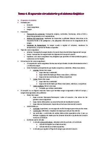 El-aparato-circulatorio-y-el-sistema-linfatico.pdf