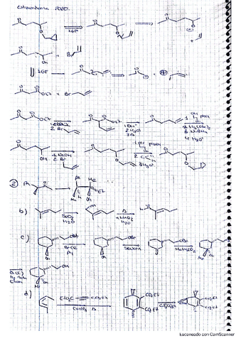 Extraordinaria-2020.pdf