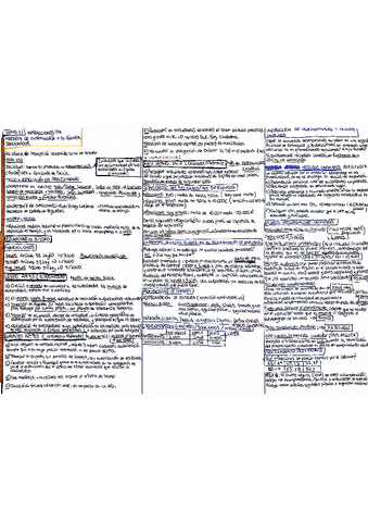 tema-11-infracciones-en-EXTRANJERIA.pdf