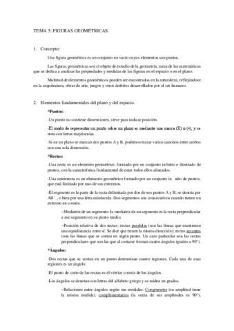 TEMA-GEOMETRIA.pdf