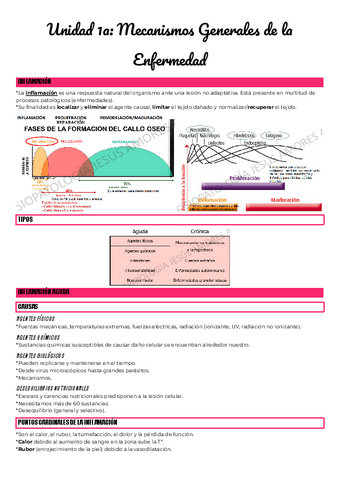 Unidad-1a-Mecanismos-Generales-de-la-Enfermedad.pdf