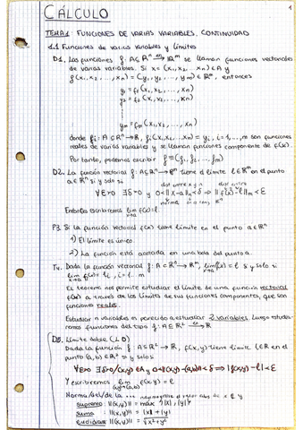 CALCULO_apuntesYEjemplos_Tema 1.pdf