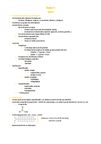 4.-Lipidos.pdf