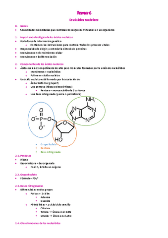 6.-Acidos-nucleicos.pdf