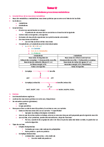 12.-Metabolismo.pdf